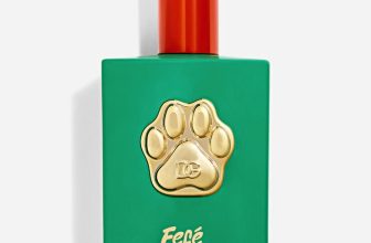 Dolce E Gabbana Fragrance